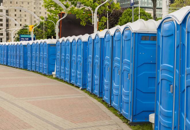 Seasonal porta potty units set up at a Brighton, Michigan venue